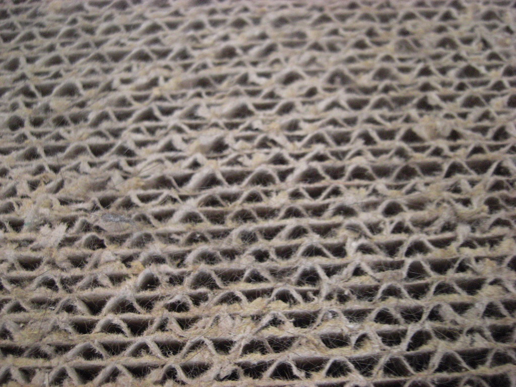 Cardboard Scratcher Lounge