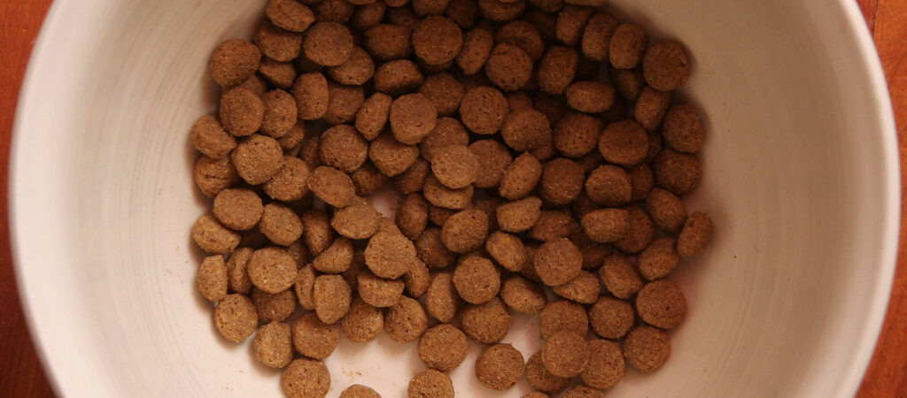 How to Choose the Right Dog Food (And When Buying in Bulk Makes Sense)
