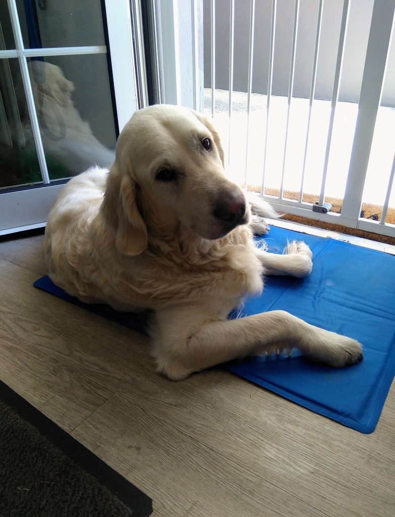 Cooling Gel-Infused Summer Mat