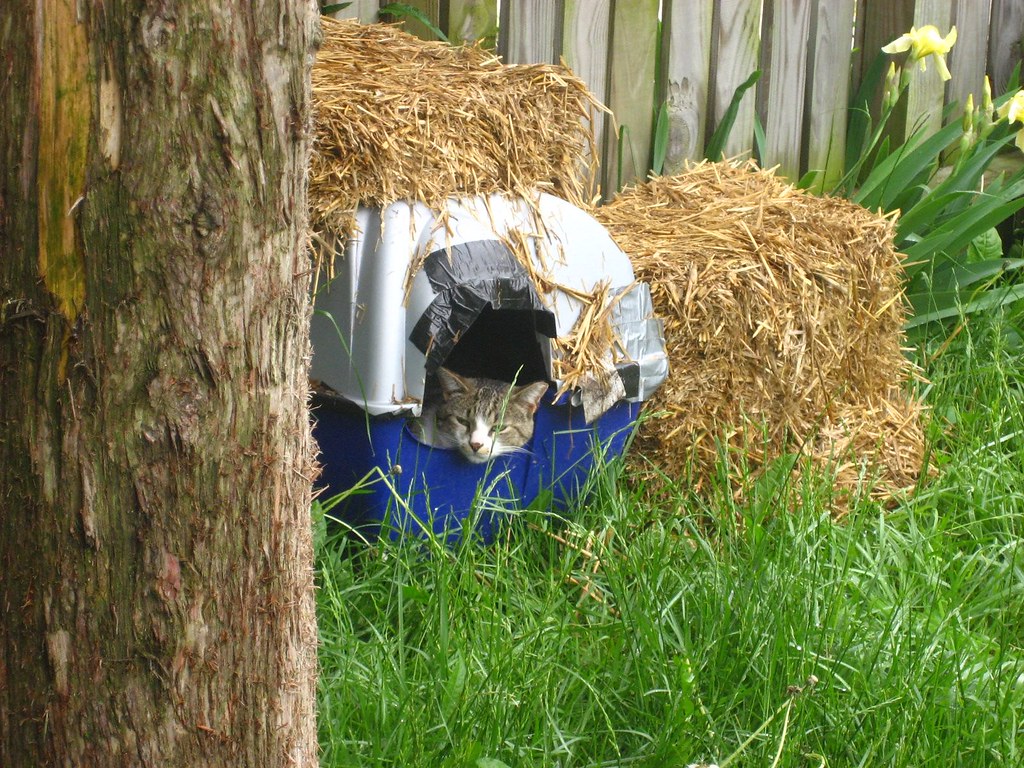 Covered Litter Box with Odor Filter