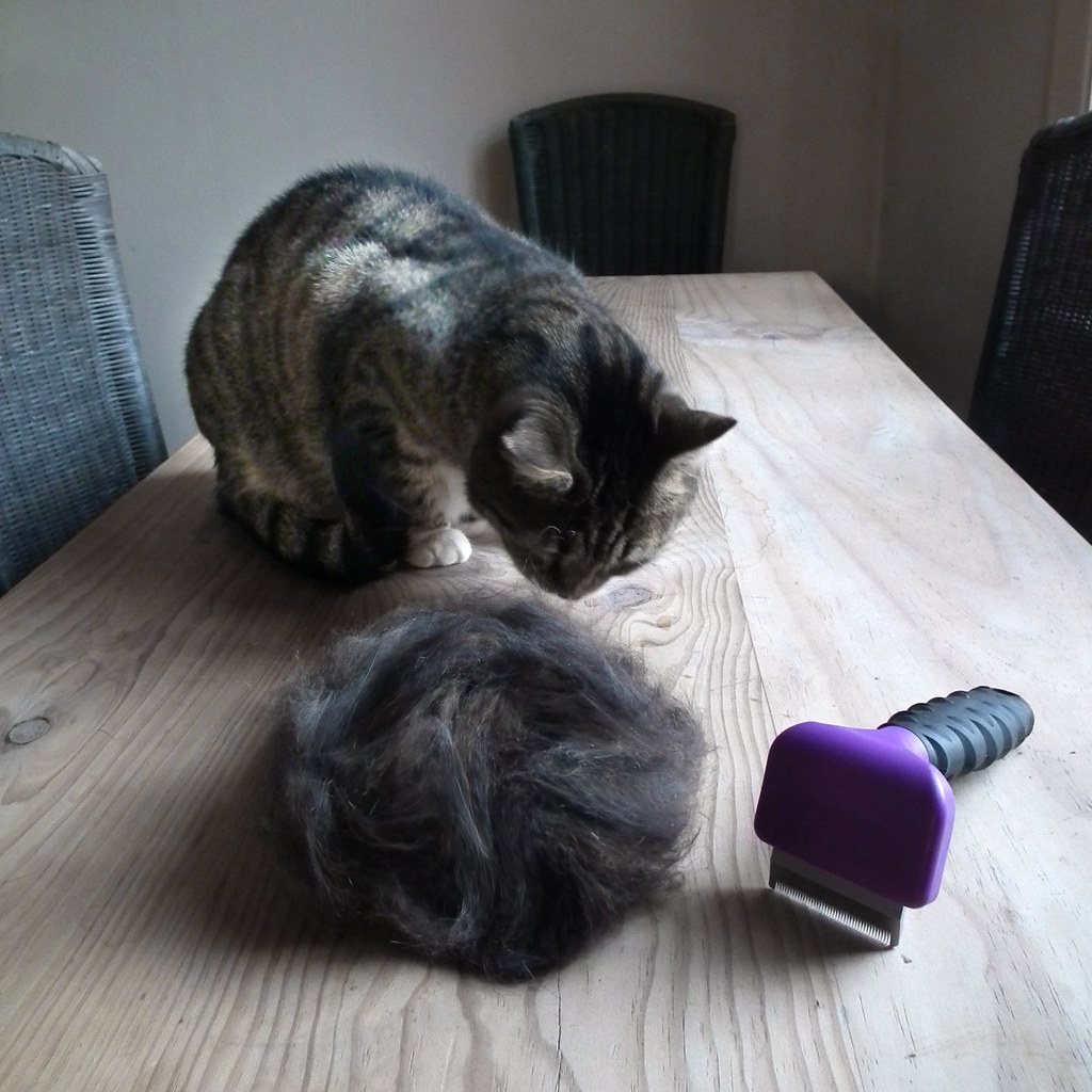 Deshedding Tool for Double Coats