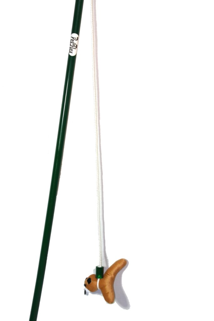 Interactive Flirt Pole Chase Toy