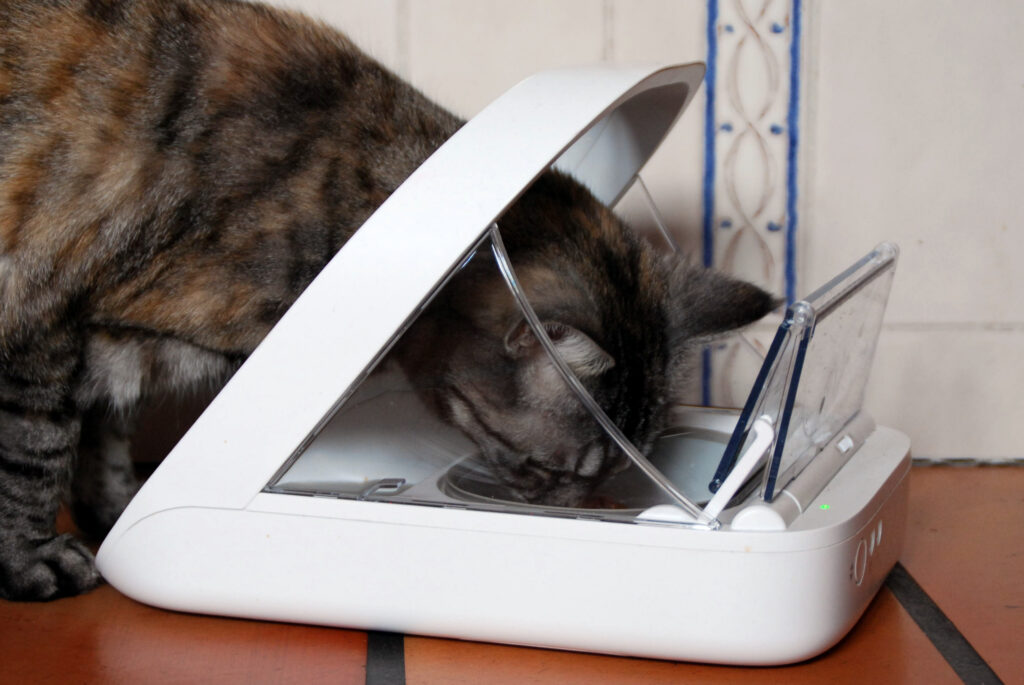 Automatic Cat Feeder with App Timer