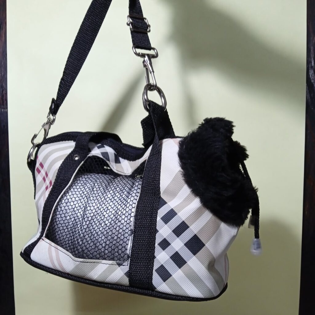 Airline-Approved Soft-Sided Pet Carrier