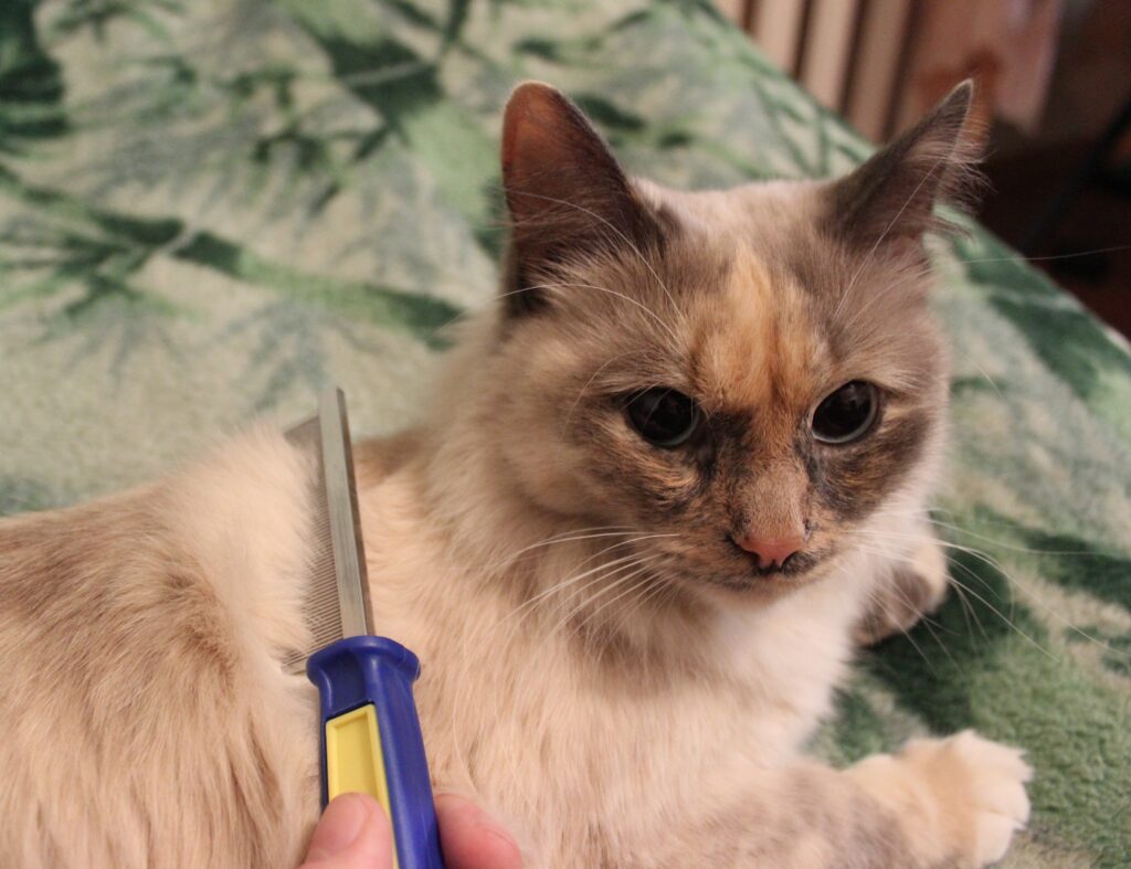 Detangling Cat Comb