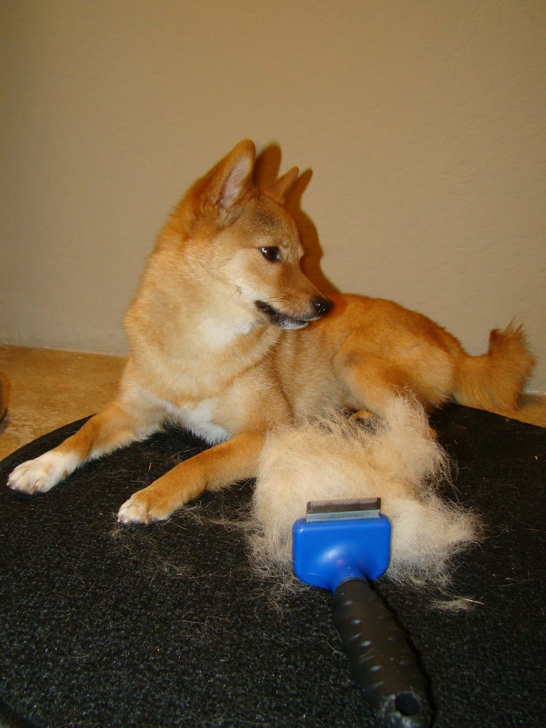 Deshedding Undercoat Rake